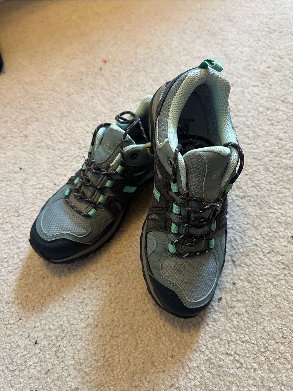 Salomon Women's Ellipse 2 CS WP Hiking Shoe